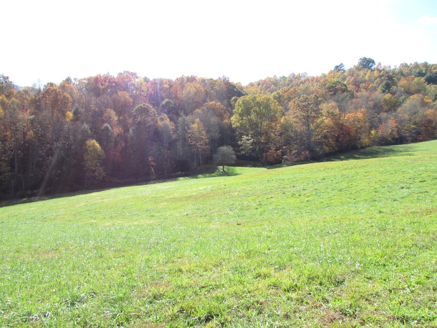 Photo #25: Tbd Fairview / Ray Simerly Road