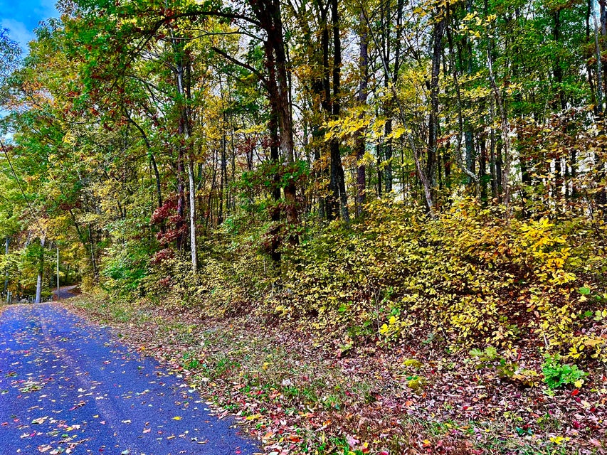 Photo #2: Tbd Grassy Creek Rd