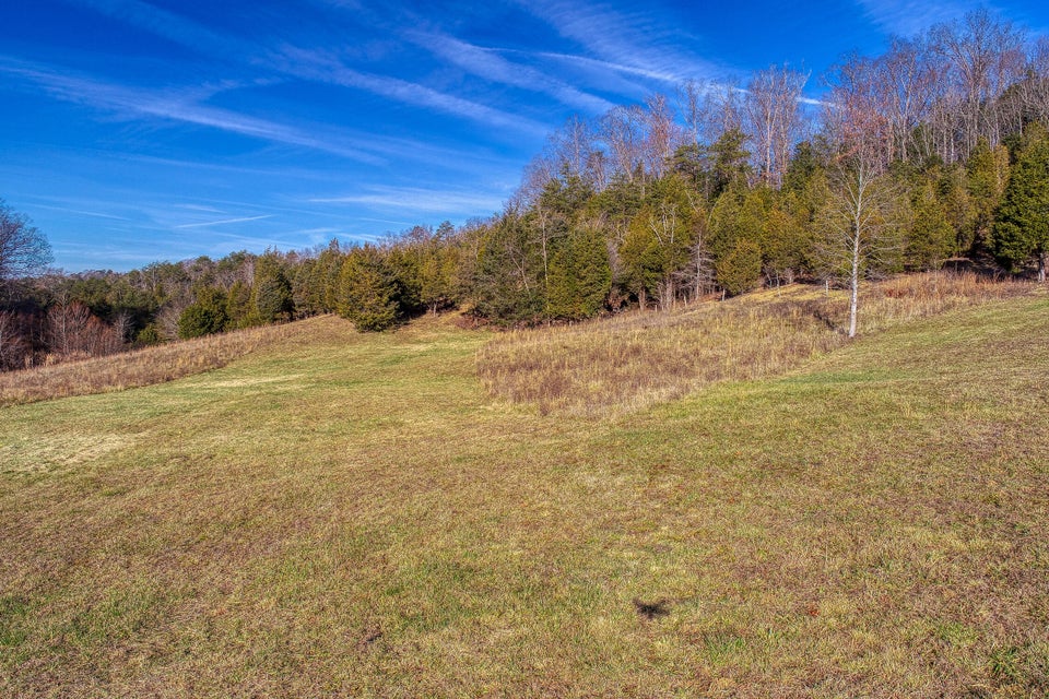 Photo #2: 1b & 1c Fork Branch Road