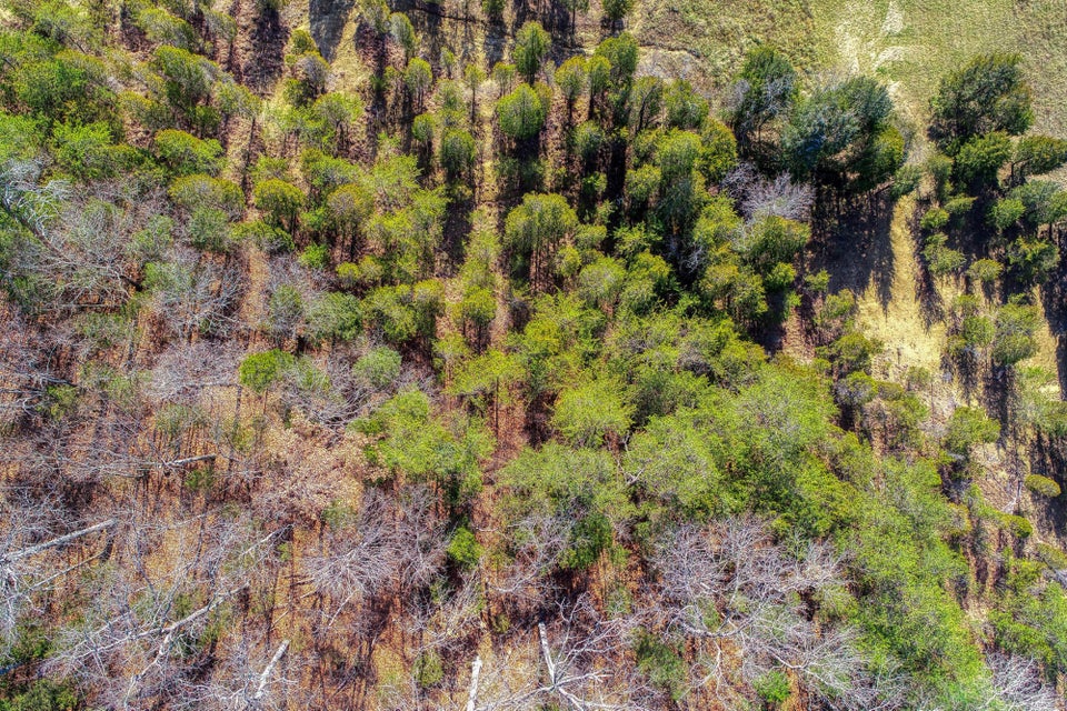 Photo #9: 1b & 1c Fork Branch Road