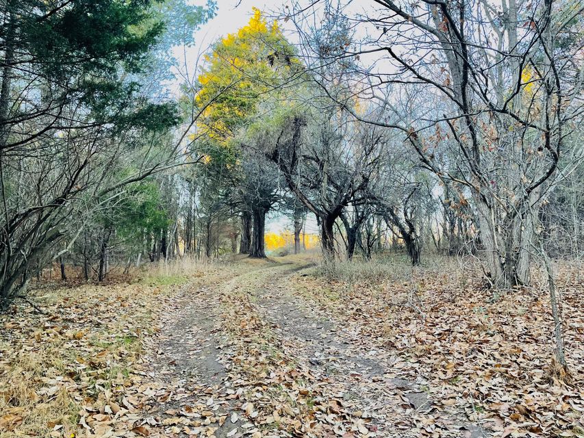 Photo #4: 515 Gregg Mill Road