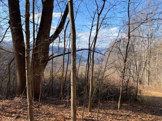 Photo #8: Tbd Teaberry Road