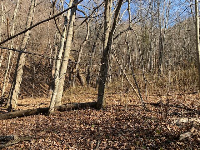 Photo #7: Tbd Teaberry Road