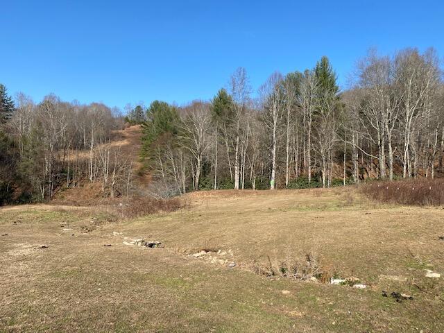Photo #3: Tbd Teaberry Road