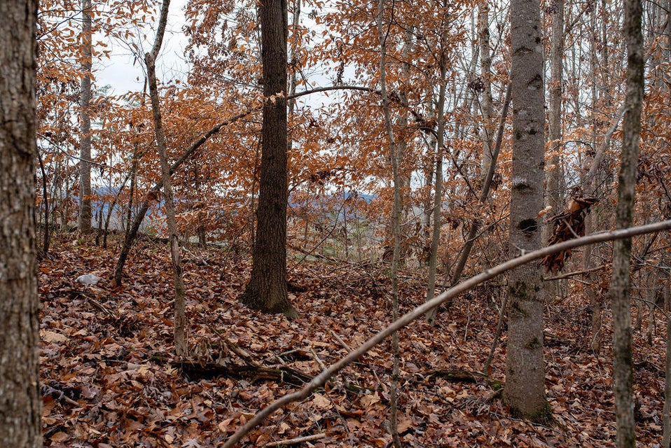 Photo #5: 400 Bank Drive