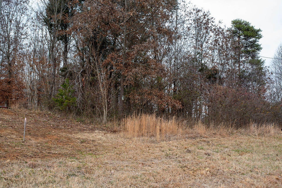 Photo #8: 400 Bank Drive