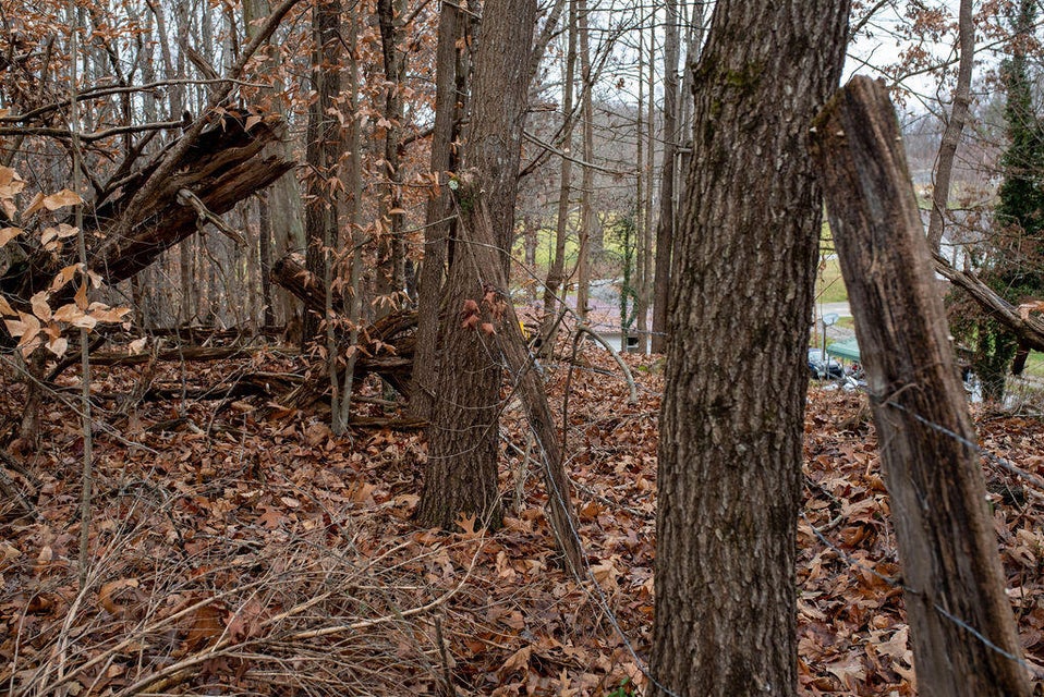 Photo #13: 400 Bank Drive