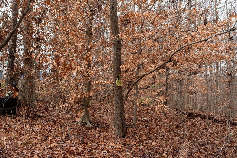 Photo #14: 400 Bank Drive