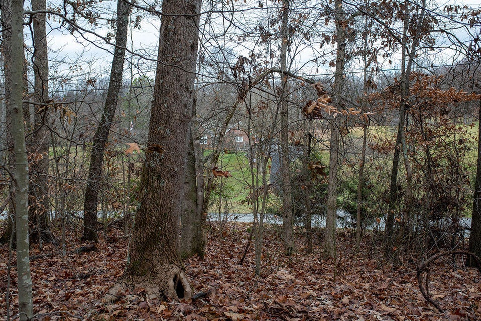 Photo #18: 400 Bank Drive