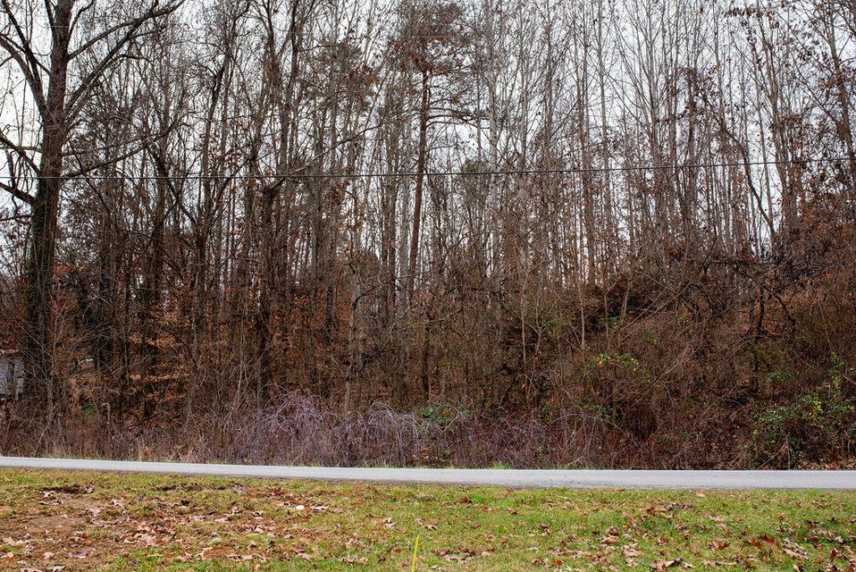 Photo #21: 400 Bank Drive