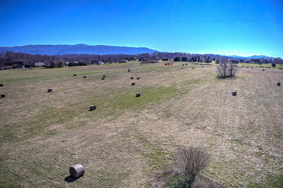 Photo #19: Lt 1 Plantation Circle