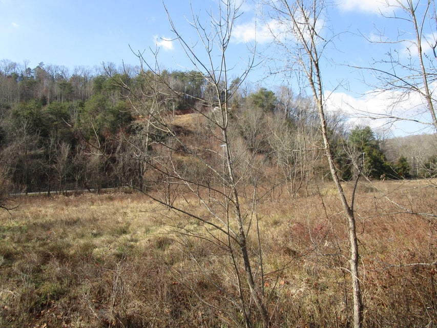 Photo #8: Tbd Elizabethton Highway