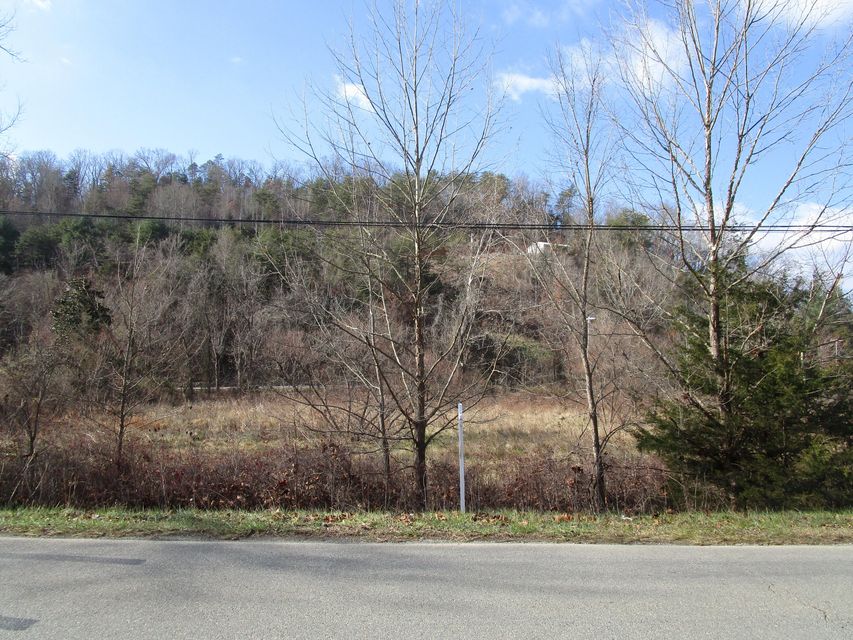 Photo #12: Tbd Elizabethton Highway