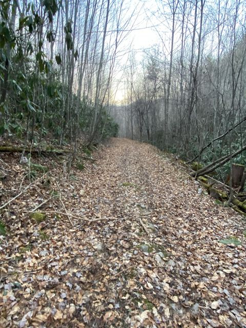 Photo #11: Tbd Tyler Street