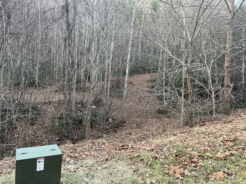 Photo #17: Tbd Tyler Street