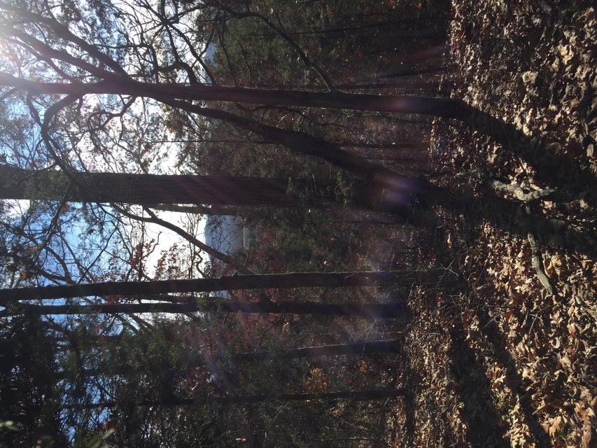 Photo #14: 1b & 1c Fork Branch Road
