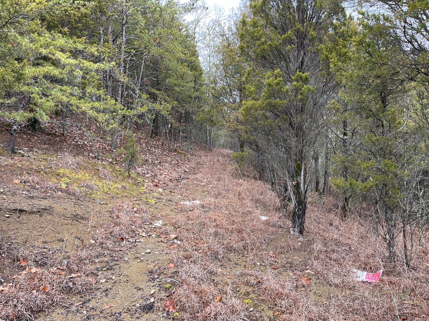 Photo #15: 1b & 1c Fork Branch Road