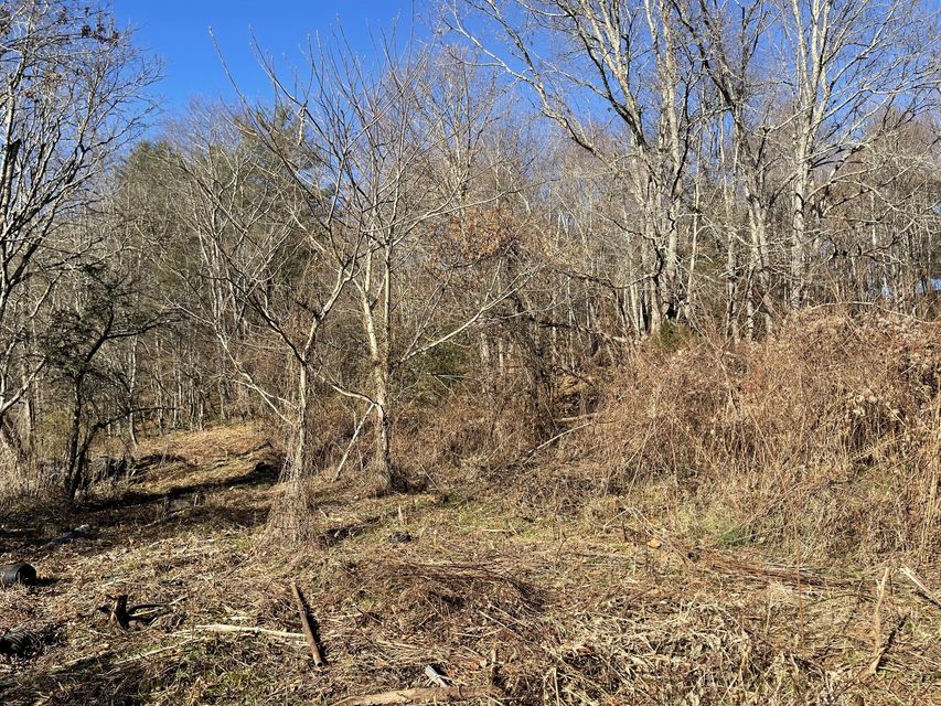 Photo #7: Tbd Old Cold Springs Road