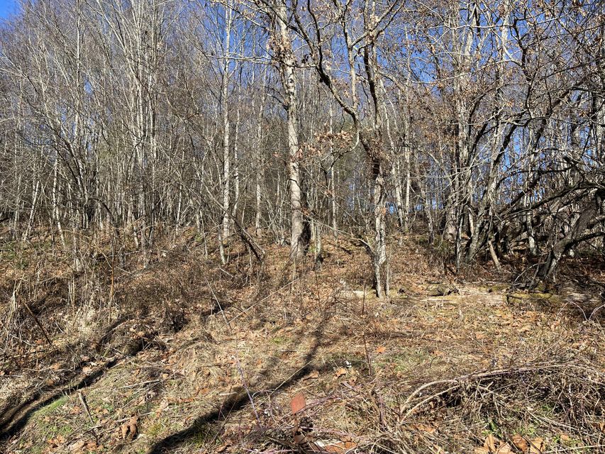 Photo #10: Tbd Old Cold Springs Road