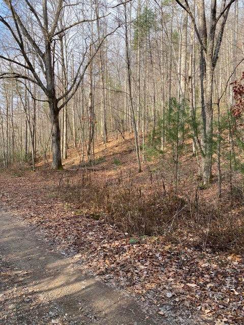Photo #9: #20 Hide Away Drive