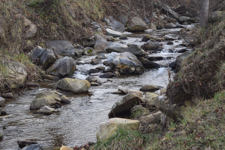 Photo #7: 108 Sam Miller Road