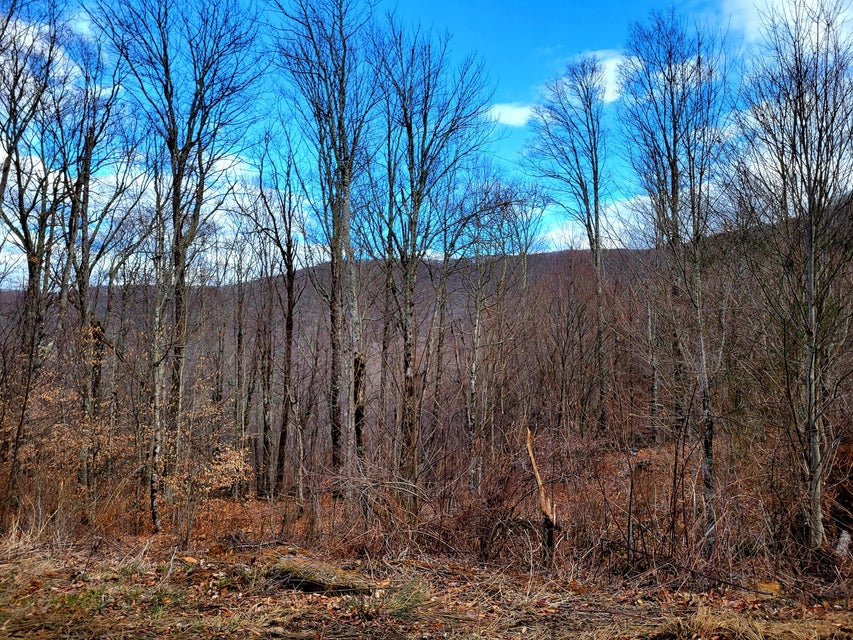 Photo #8: Lot 3 P2 Theo's Way