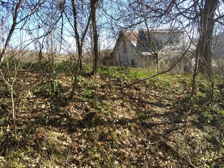 Photo #4: Tbd Perryville R