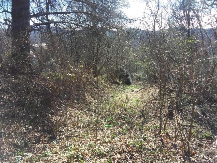 Photo #3: Tbd Perryville R
