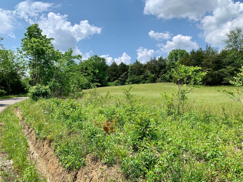 Photo #3: Tbd Gap Mtn Road