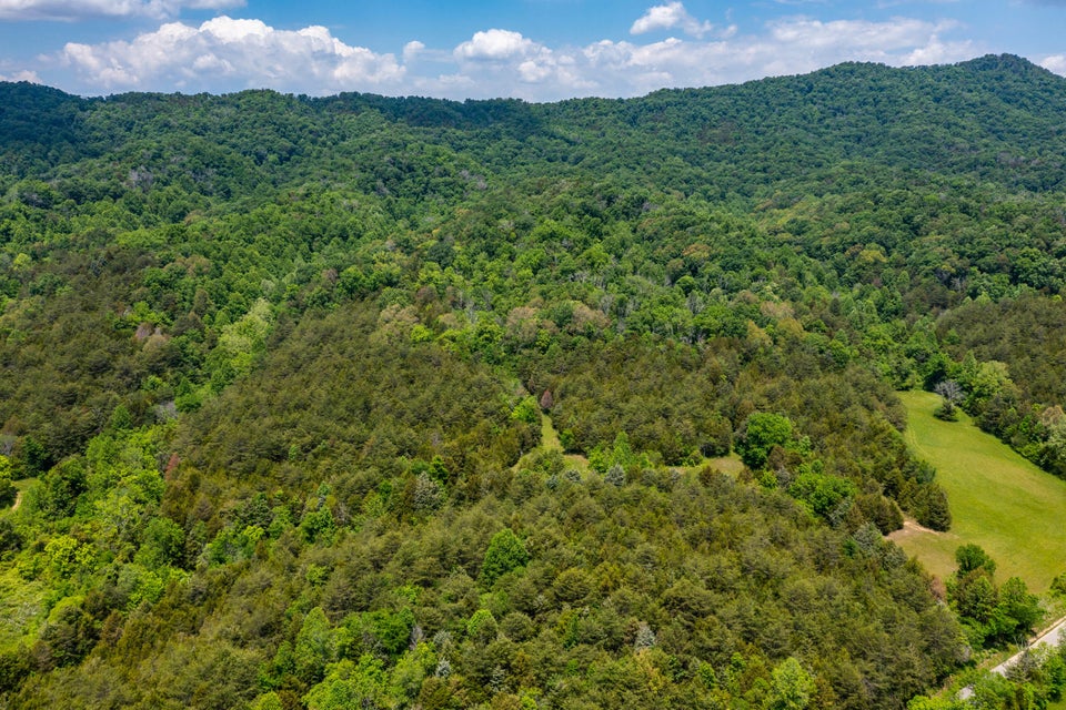 Photo #10: Tbd Gap Mtn Road