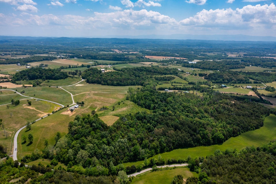 Photo #11: Tbd Gap Mtn Road