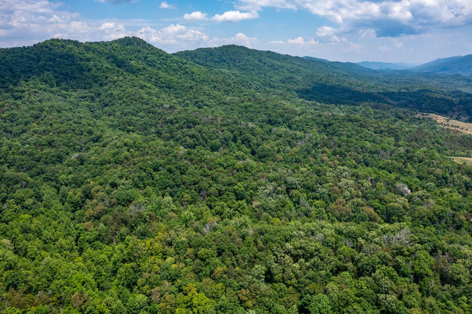 Photo #13: Tbd Gap Mtn Road