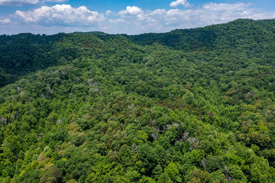 Photo #15: Tbd Gap Mtn Road