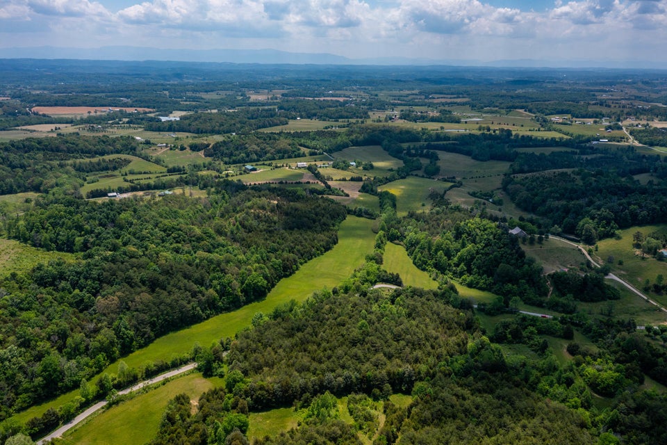 Photo #17: Tbd Gap Mtn Road