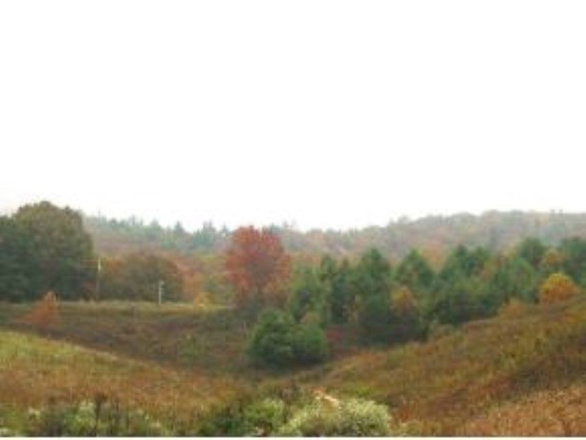 Photo #5: 13147 Tn-67