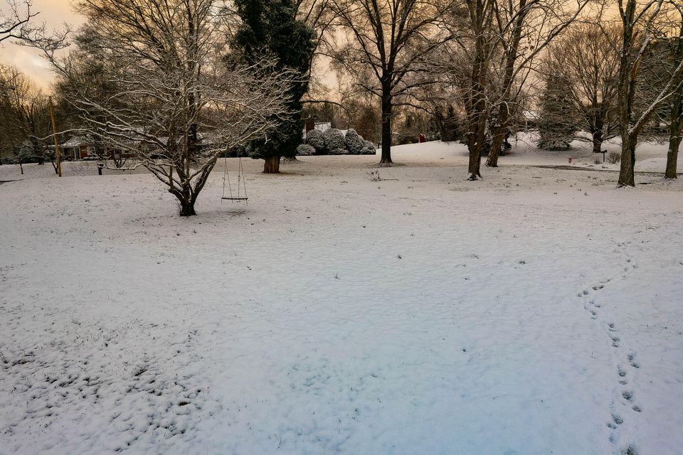 Photo #45: 1469 Holston Drive