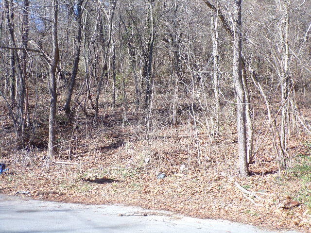 Photo #3: 1400 Stoneybrook Drive