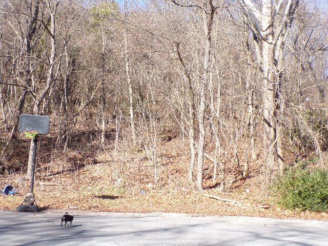 Photo #6: 1400 Stoneybrook Drive