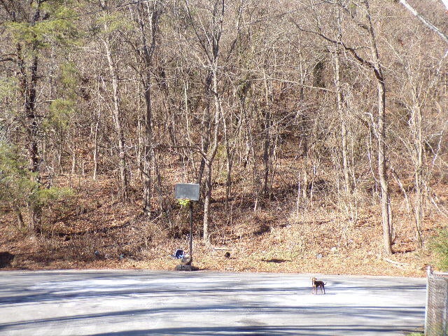 Photo #8: 1400 Stoneybrook Drive