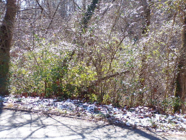 Photo #2: 1404-1406 Stoneybrook Drive