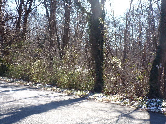 Photo #6: 1404-1406 Stoneybrook Drive