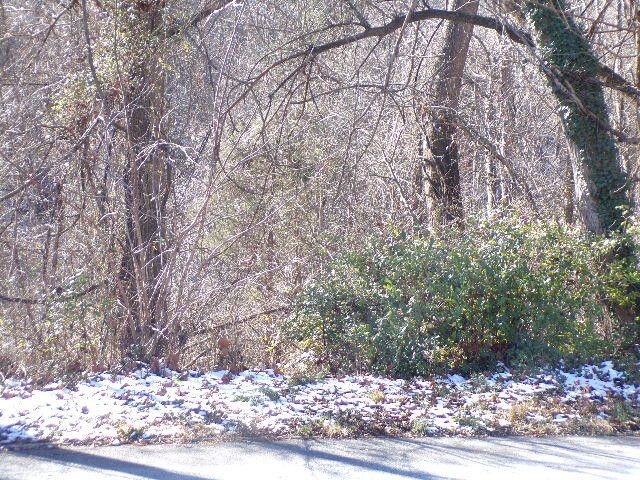 Photo #7: 1406 Stoneybrook Drive