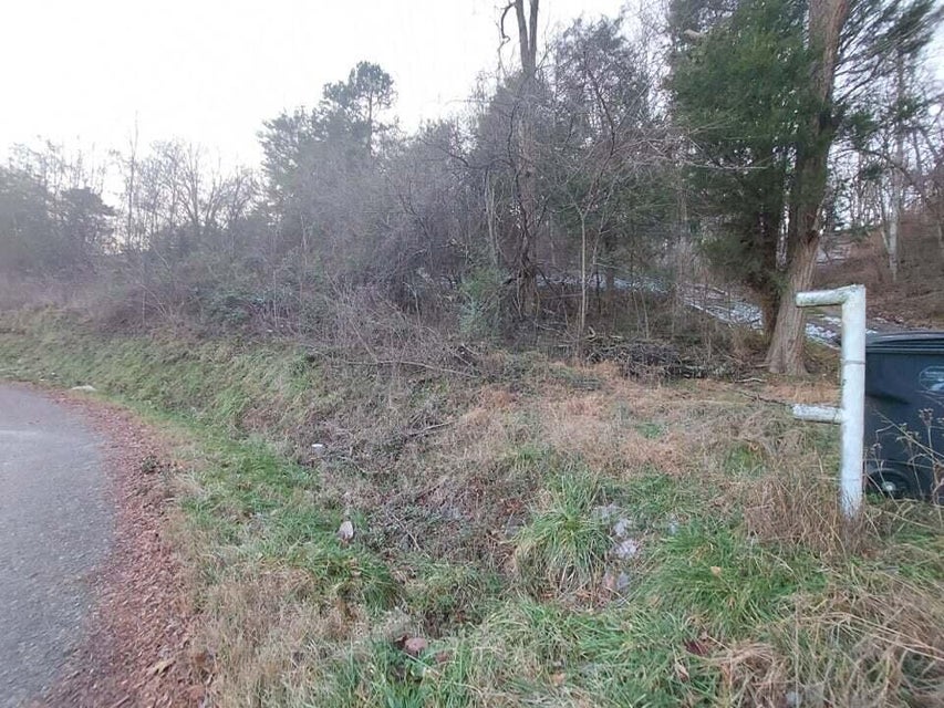 Photo #2: 2.5 Acres Tom Treece Road