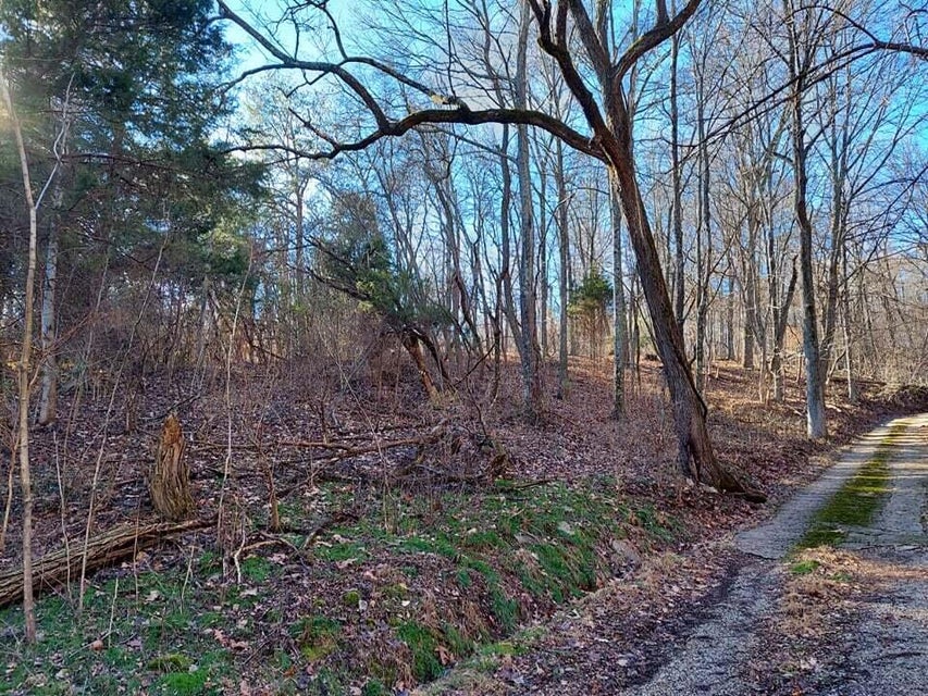 Photo #4: 2.5 Acres Tom Treece Road
