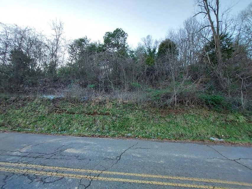 Photo #6: 2.5 Acres Tom Treece Road