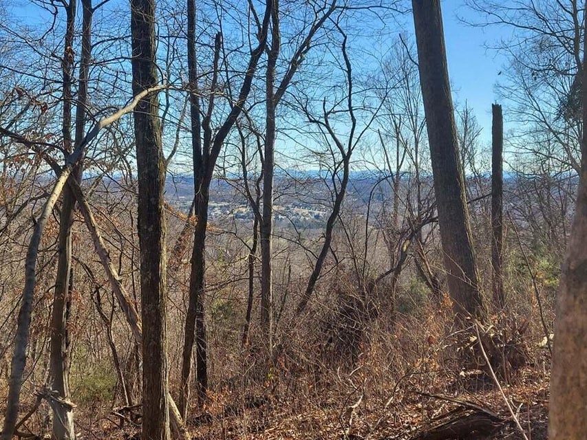 Photo #7: 2.5 Acres Tom Treece Road