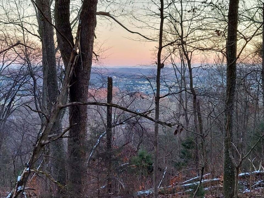 Photo #12: 2.5 Acres Tom Treece Road