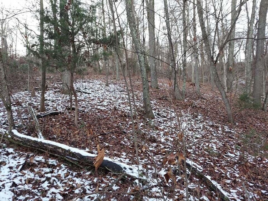 Photo #25: 2.5 Acres Tom Treece Road