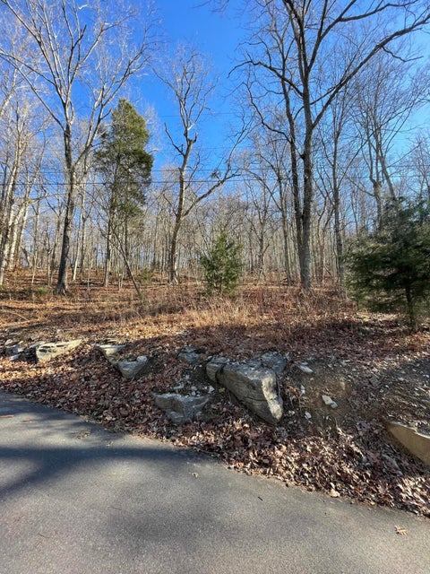 Photo #2: 0 Blue Heron Lane