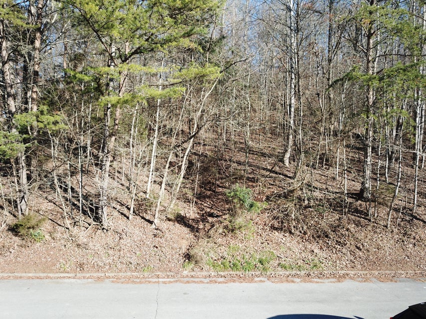 Photo #3: Lot 9 Lakeshore Road